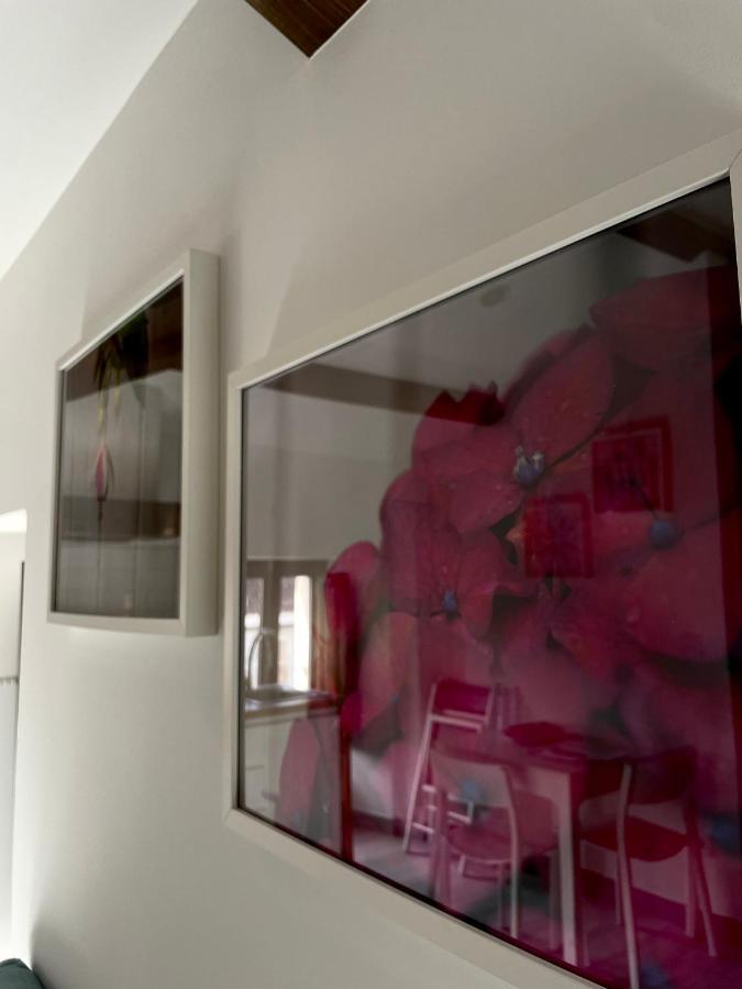 Apartment Marujita Vilanova, Singular *