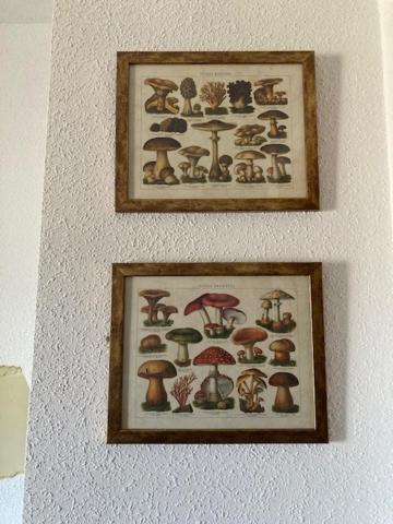 Apartamento El Penon *