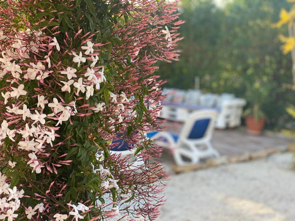 Apartamento Lovely 2 Bed In *