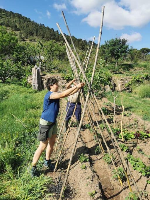 Сasa de vacaciones Casa Roya