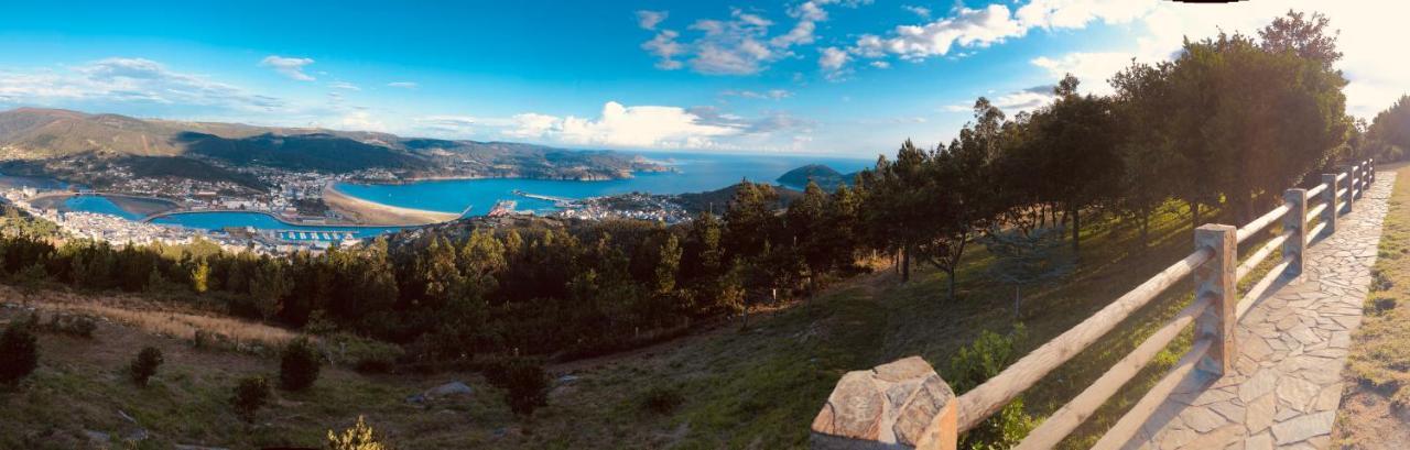 Centro * Viveiro