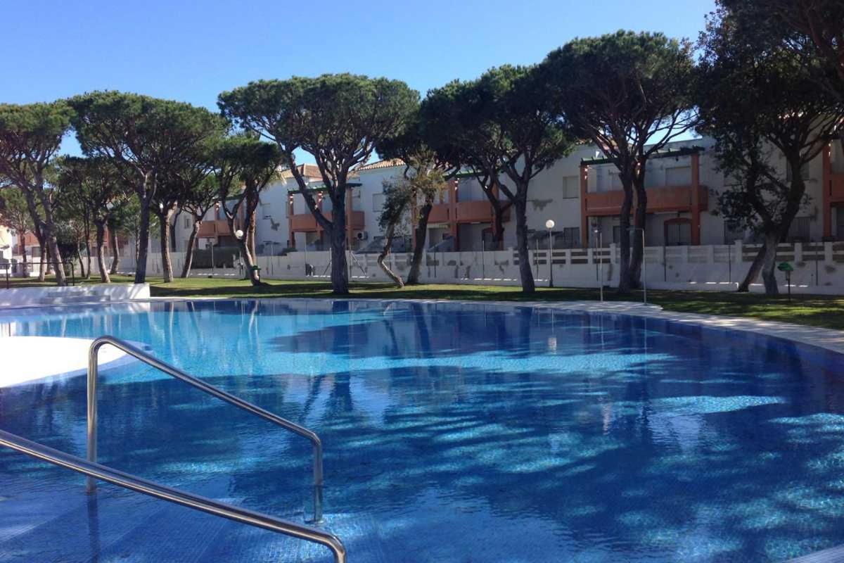 Apartment Magnifico 1