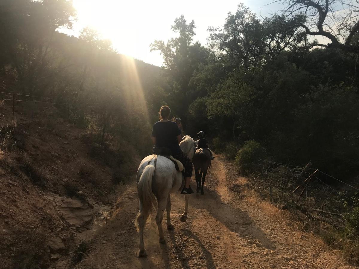 La Apanaora Сasa de vacaciones Galaroza
