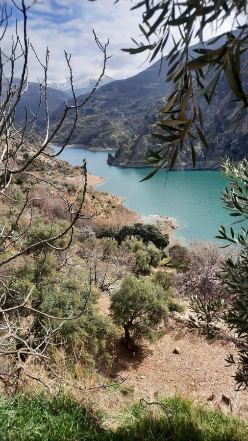 El Hogar De Mercedes Güéjar Sierra