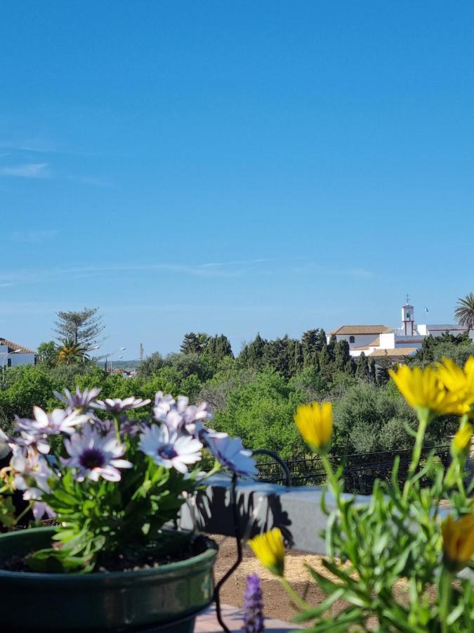 Atico Capuchinos Sanlucar de Barrameda