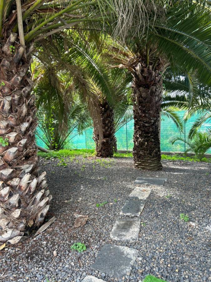 Holiday home Casa Beatriz La Orotava