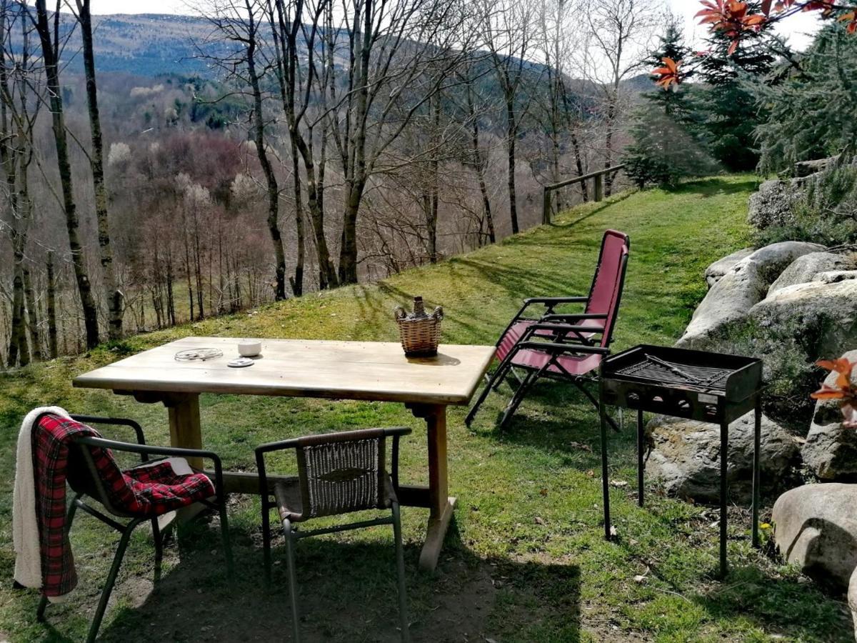 Apartment Els Pins D'abella