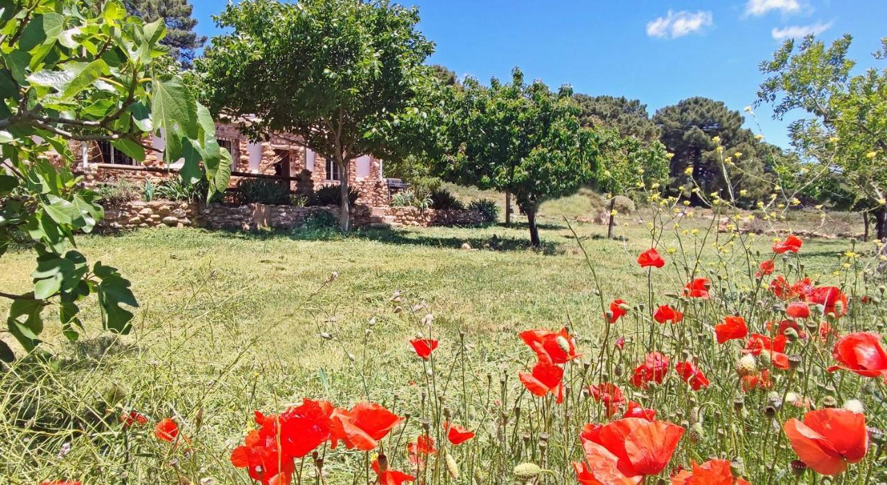 Esencia - Luxurious Off-grid Retreat