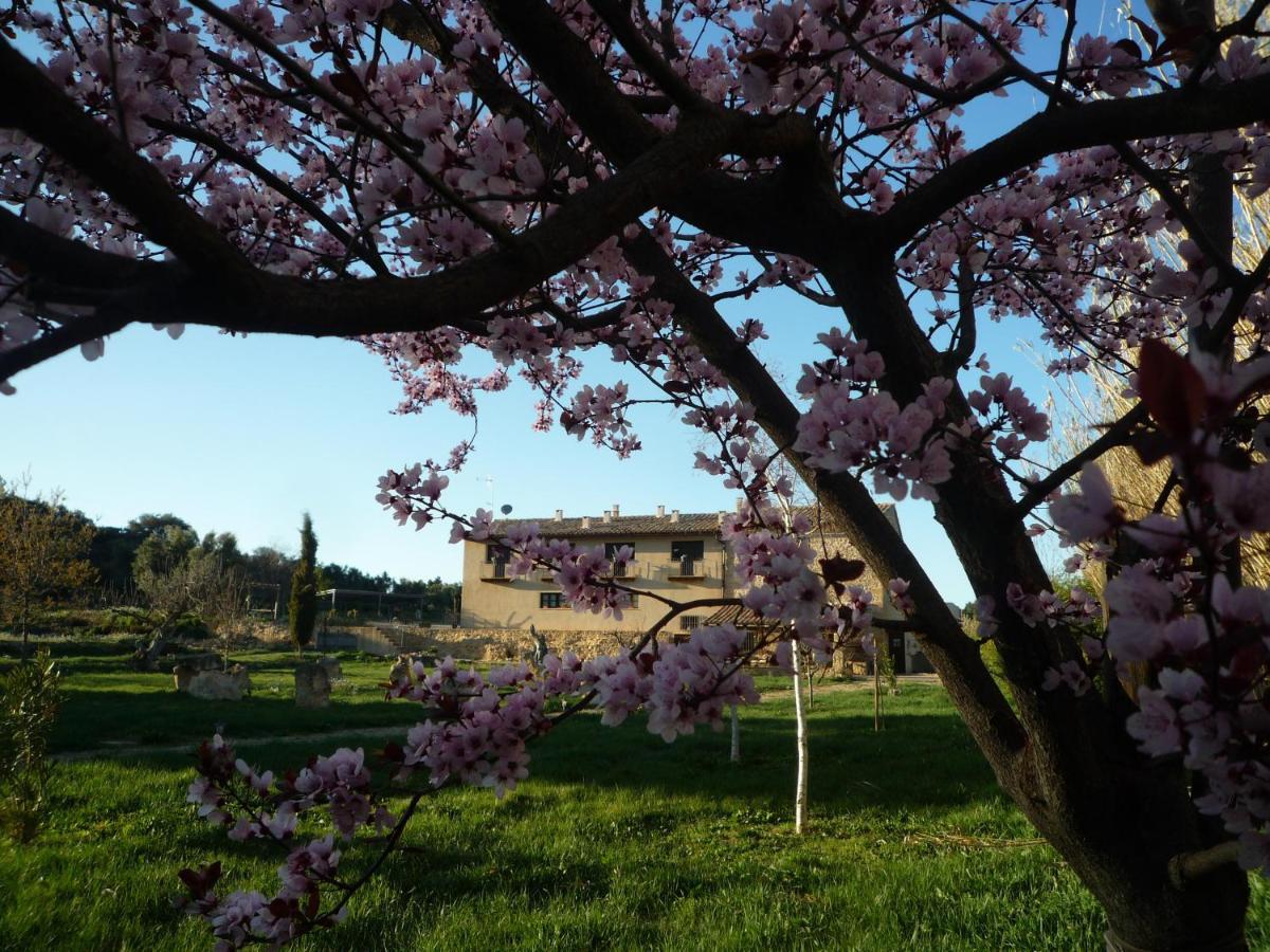 Hort De L'aubert