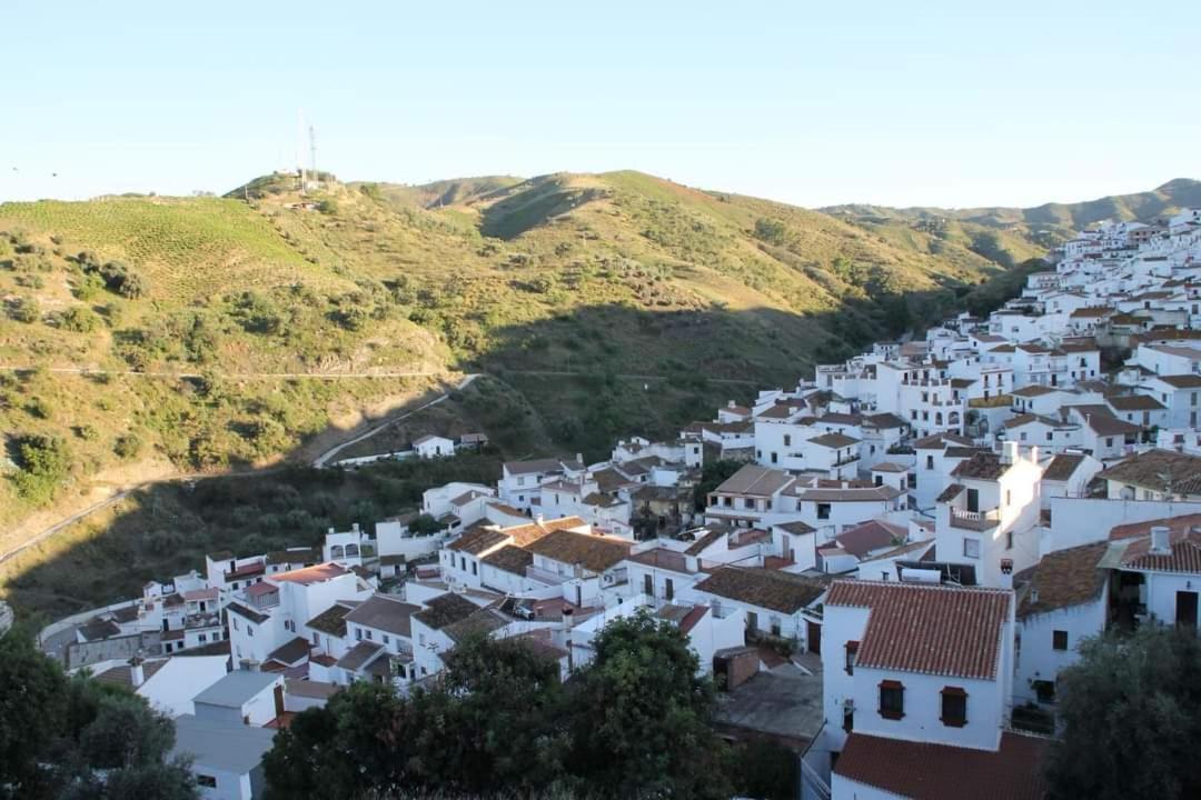 Apartamento Apartamento El Pasero I