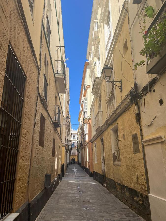 Luz Baal Grupo Ac Gestion Cádiz