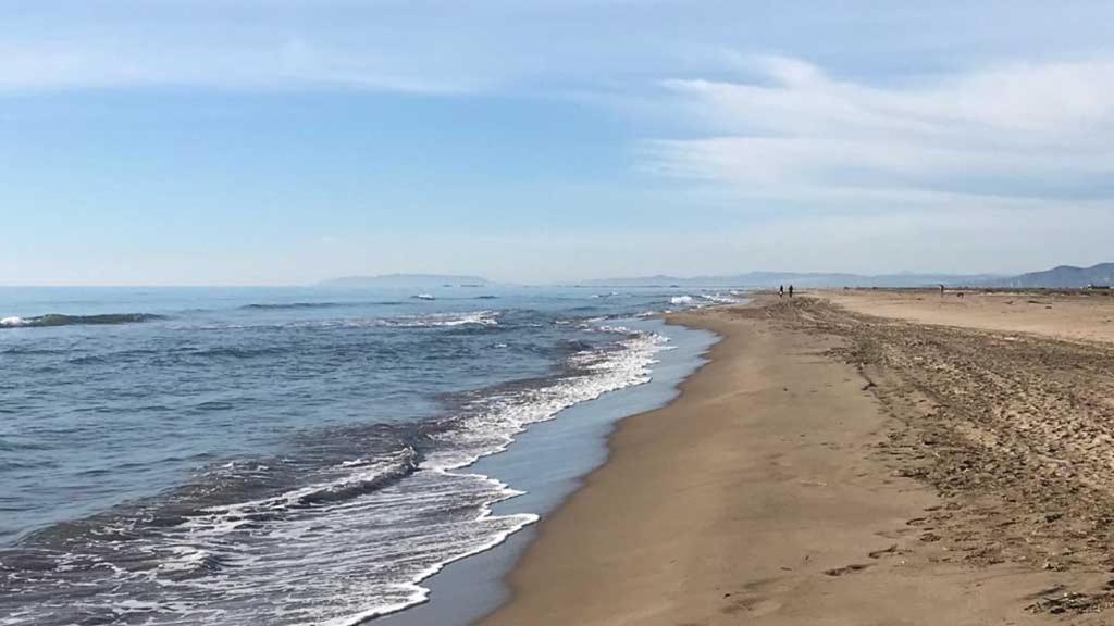 Arte Y Natura En La Playa De Eucaliptus
