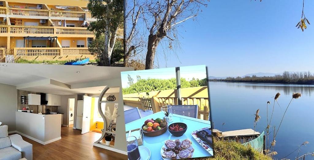 Superbe Terrasse Entierement Renove Au Bord De L'ebre * Deltebre