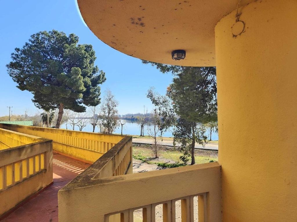 Apartamento Superbe Terrasse Entierement Renove Au Bord De L'ebre