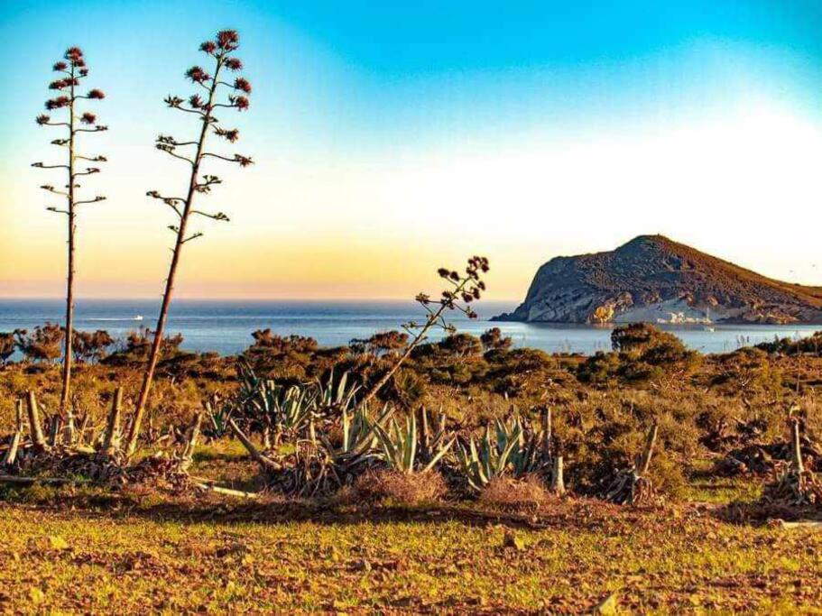 A Pocos Metros De La Playa Apartamento *