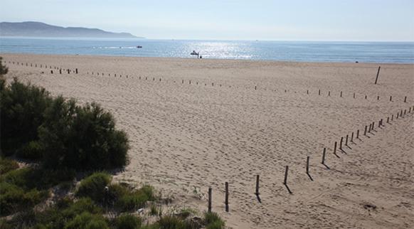 Port Ducal A102 Apartment