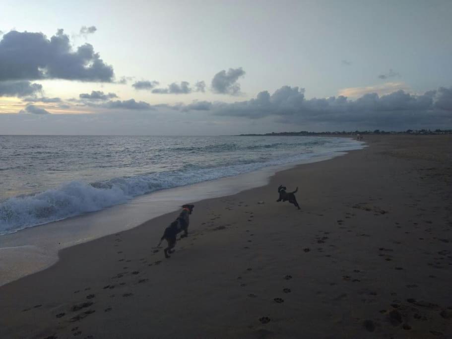 Precioso A 50 Metros De La Playa *