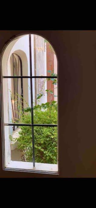 Estudio Montanar A 50 Metros Del Mar *