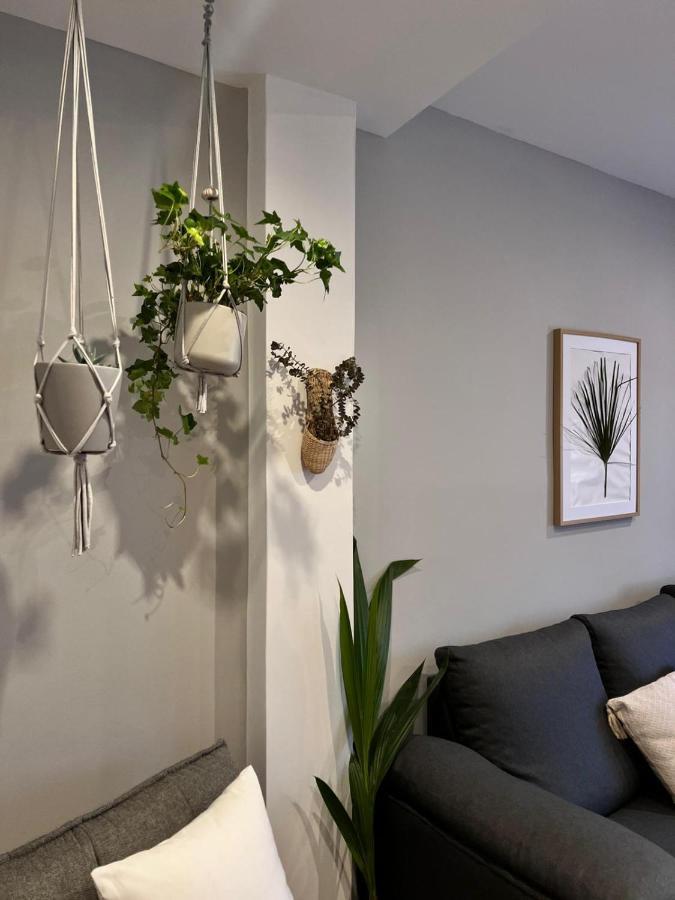 Acogedor En El Casco Viejo Apartamento