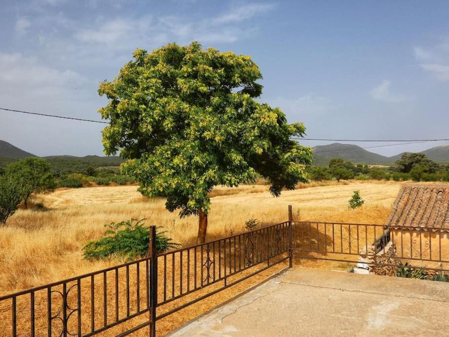 Apartamento Cortijo Calma - Countryside Peace & Tranquility