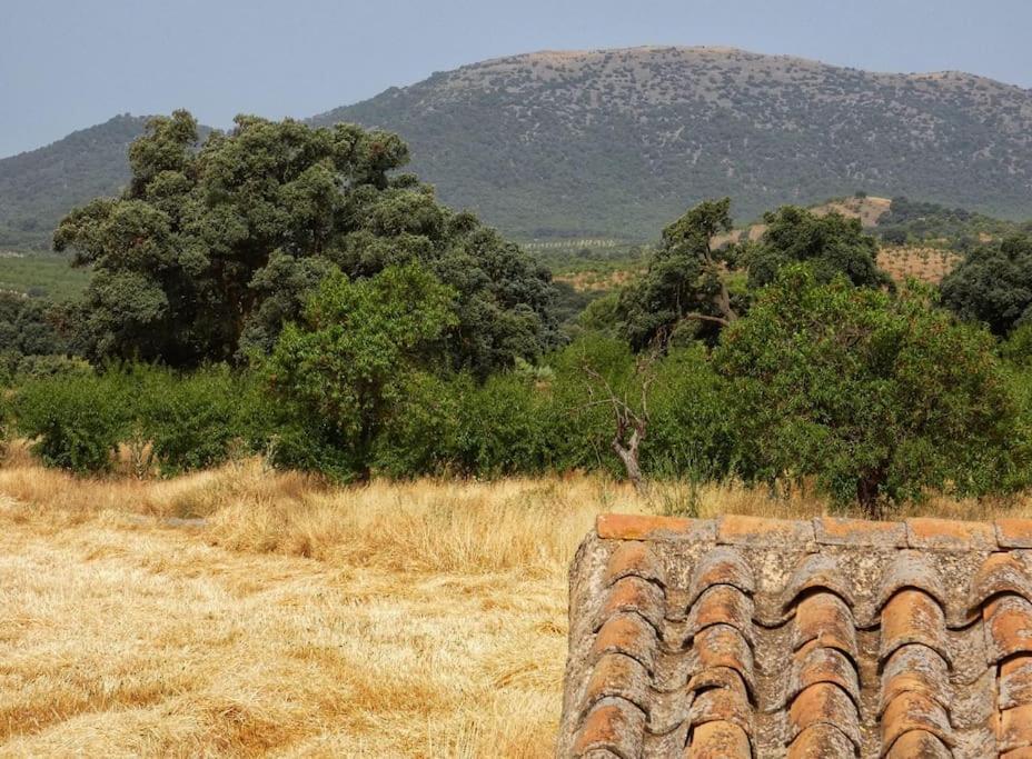 Cortijo Calma - Countryside Peace & Tranquility Apartamento *