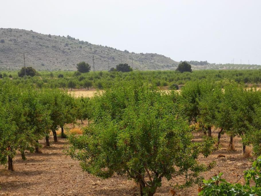 Apartamento Cortijo Calma - Countryside Peace & Tranquility