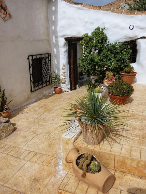 Cortijo Calma - Countryside Peace & Tranquility Apartamento