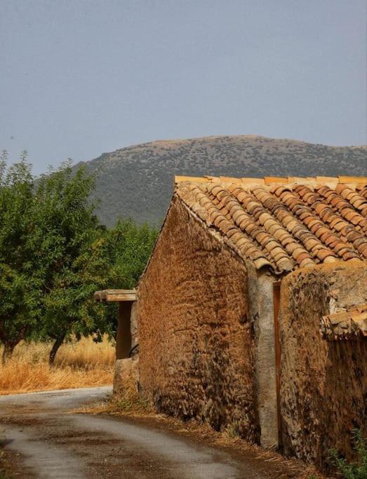 Cortijo Calma - Countryside Peace & Tranquility Oria