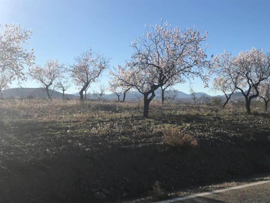 Apartamento Cortijo Calma - Countryside Peace & Tranquility Oria