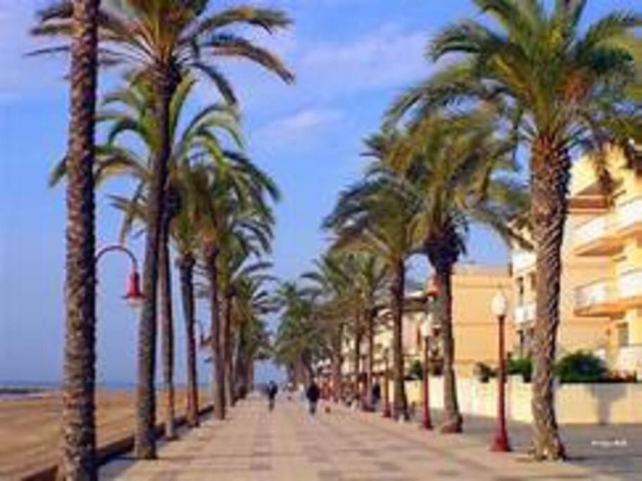 Apartamento 2 Linea De Mar Con Entrada Independiente *