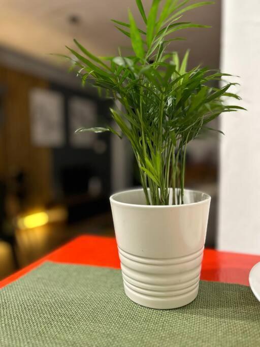 Apartamento Loft Centro *