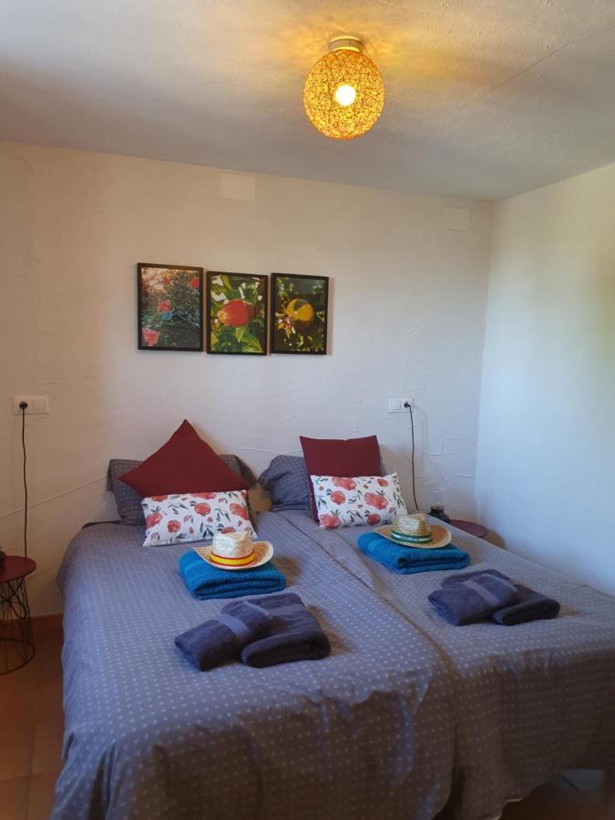 Casita Of Casa Olivar *