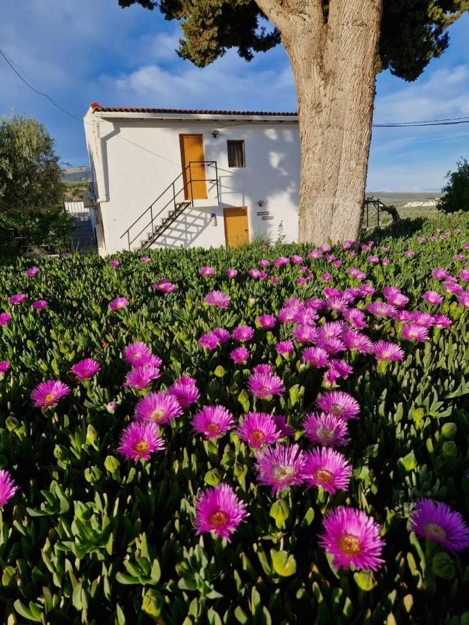 Casita Of Casa Olivar Apartment Tocon