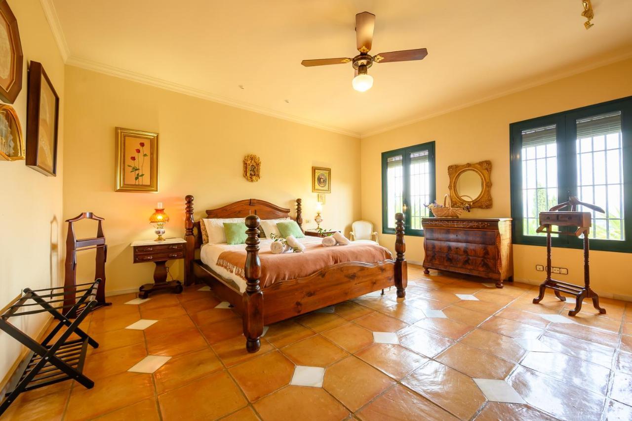 Saguaro Malaga Villa