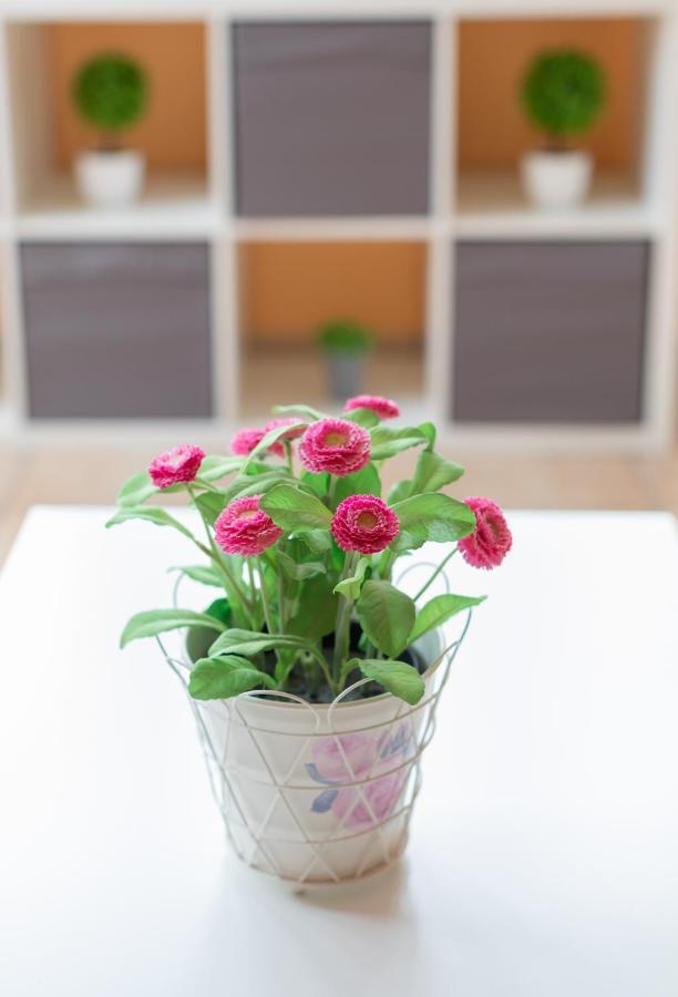Saturraran - Baskeyrentals Apartamento *