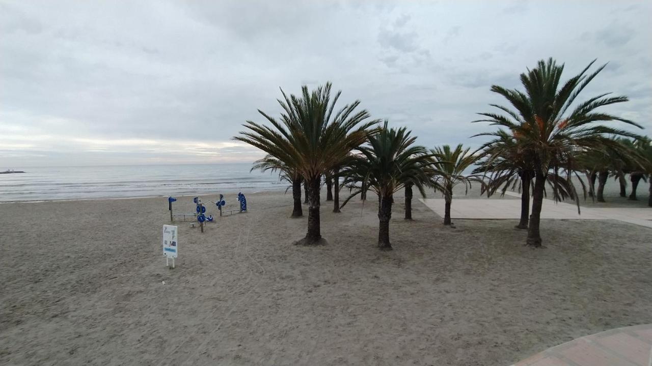 Tamarindo Santa Pola