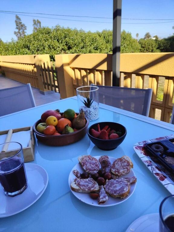 Superbe Terrasse Entierement Renove Au Bord De L'ebre