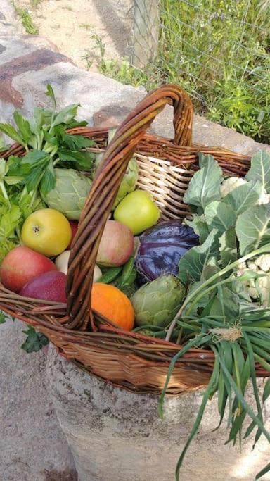 Eco-friendly Barcelona Country Side