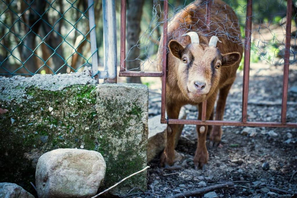 Eco-friendly Barcelona Country Side * La Garriga