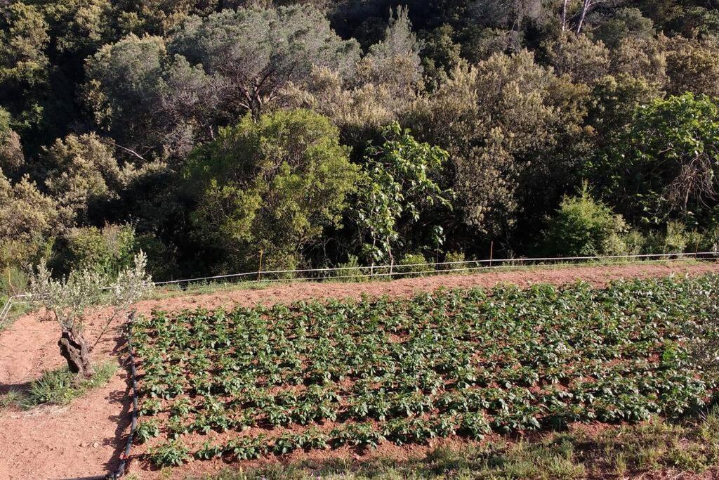 Eco-friendly Barcelona Country Side *