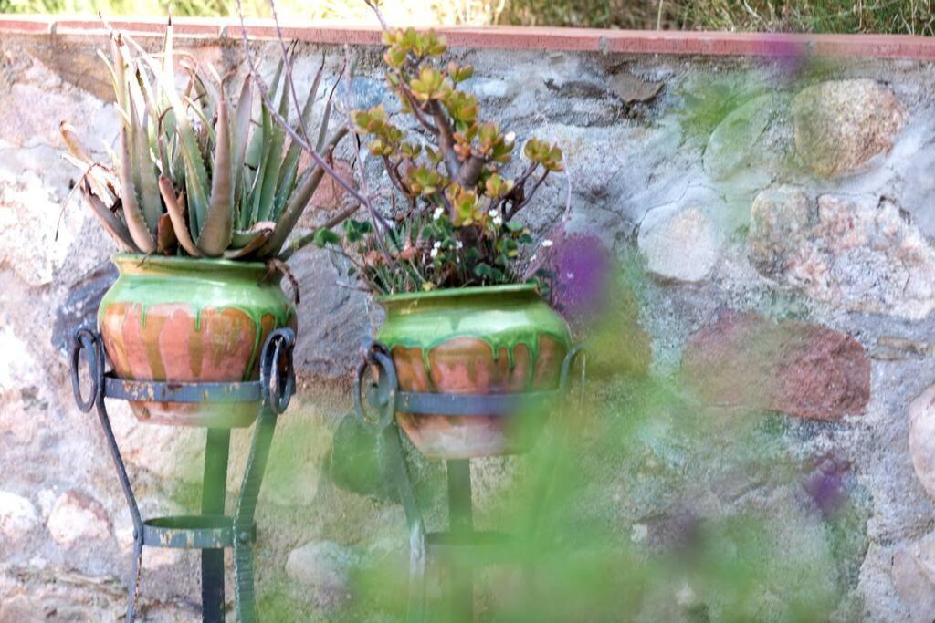 Eco-friendly Barcelona Country Side Сasa de vacaciones *