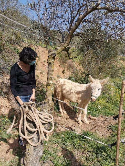 Eco-friendly Barcelona Country Side * La Garriga