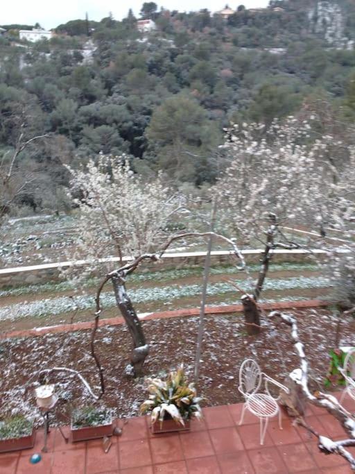 Сasa de vacaciones Eco-friendly Barcelona Country Side La Garriga