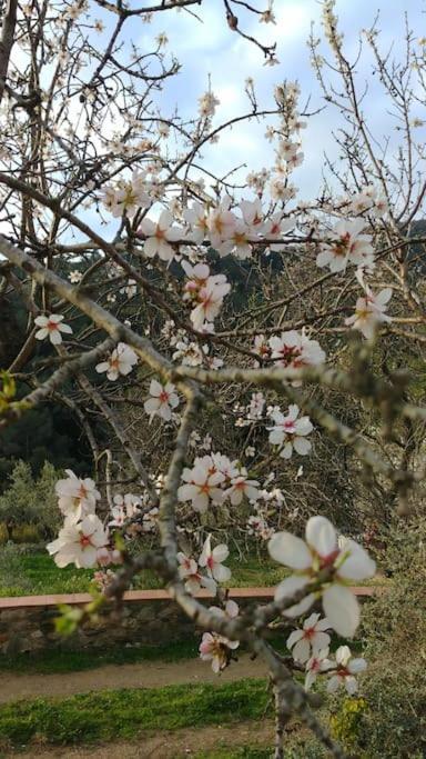 Eco-friendly Barcelona Country Side La Garriga