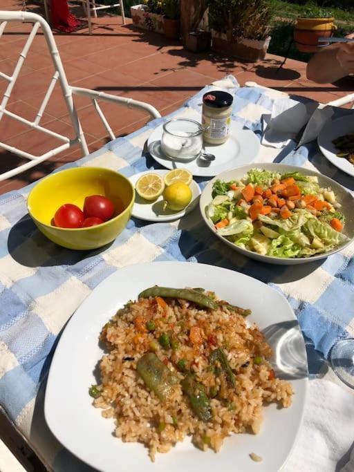 Eco-friendly Barcelona Country Side Сasa de vacaciones
