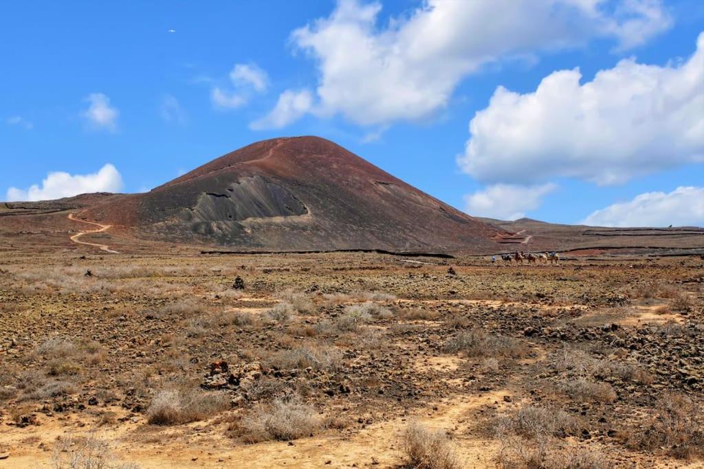Fenix - Oasis In Natural Reserve
