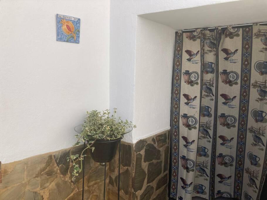 Casa Cueva Rural Estacion De Holiday home *