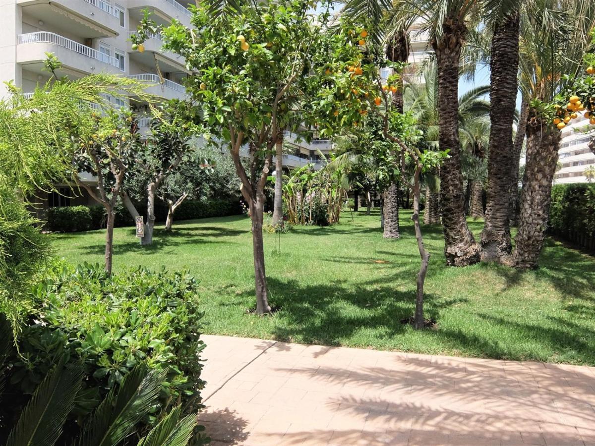 Apartamento Parque Mota - Alquiler Solo A Familias *