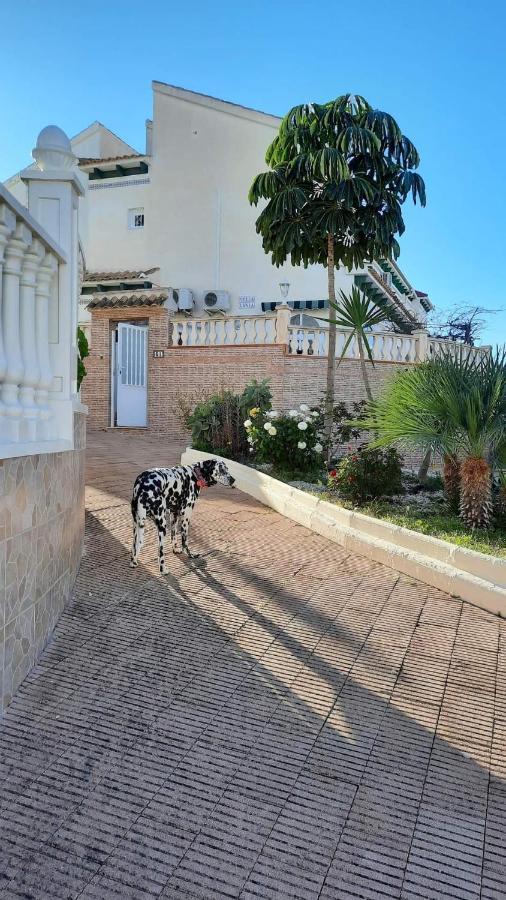 Lenia Сasa de vacaciones