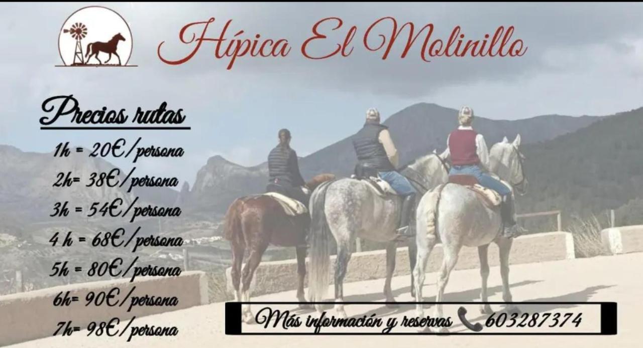 Naranjos * Alcaucin